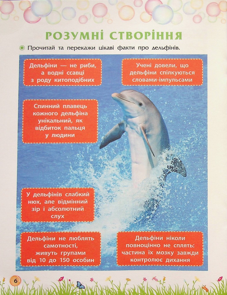 Книга Секрети знань. Зустрічай 3 клас (+ 80 наліпок, + 2 проєктні роботи) - Тетяна Квартник, Олена Шаповал. Фото 8