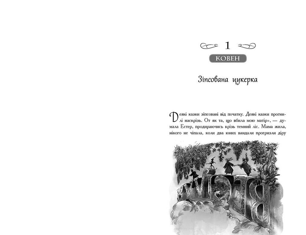 Книга Школа добра і зла. Єдиний Істинний король. Книга 6 - Соман Чайнані. Фото 4