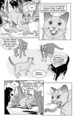 Книга Коти - вояки. Манґа 7. Тигрозір і Саша. Повернення до Кланів - Ерін Гантер (м'яка обкладинка). Фото 8