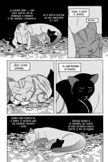 Книга Коти - вояки. Манґа 7. Тигрозір і Саша. Повернення до Кланів - Ерін Гантер (м'яка обкладинка). Фото 4