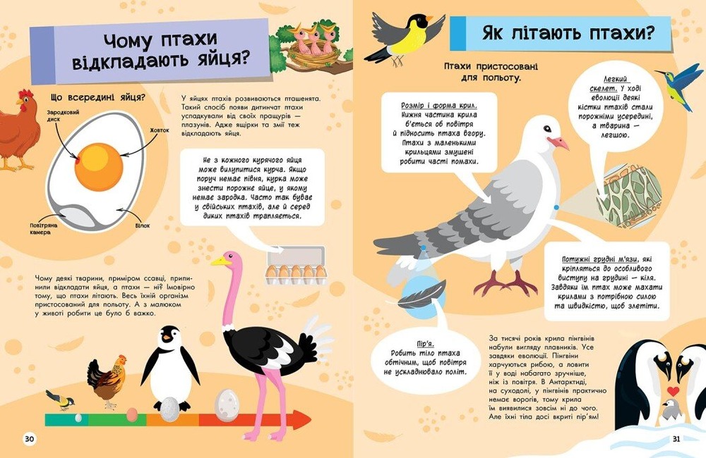 Книга Велика енциклопедія для чомусика . Фото 3