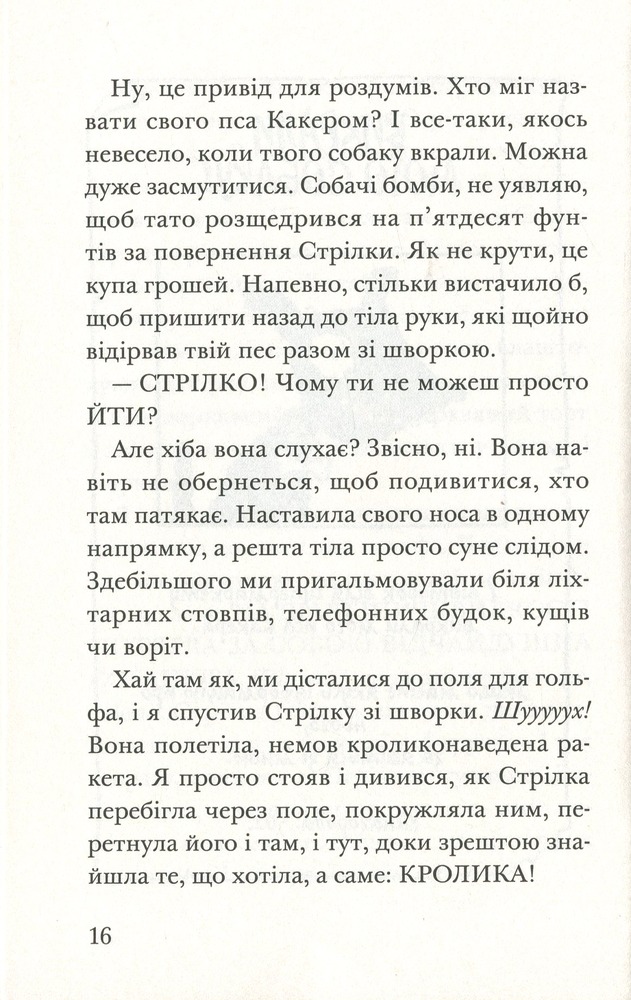 Книга Ракета на чотирьох лапах під прикриттям - Джеремі Стронг. Фото 15
