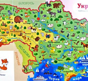 Книга Атлас тварин. 55 віконець.. Фото 3