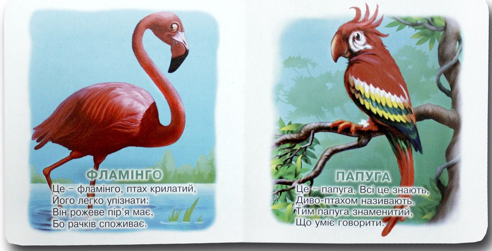 Книжка-картонка. Хто це? Лев. Фото 2