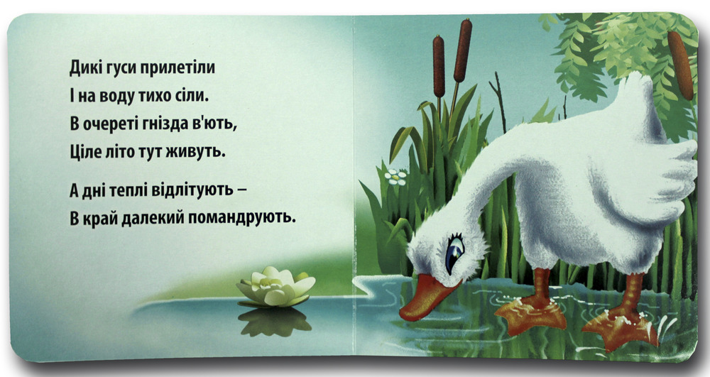 Книжка-картонка. Свійські та дикі. Фото 2