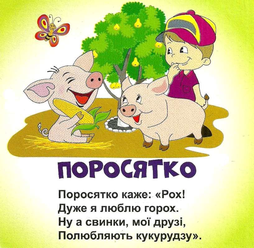 Книжка-картонка. Знайомся. Хто це?. Фото 2