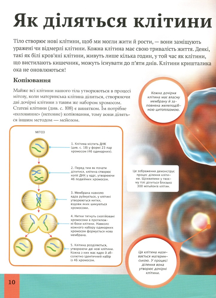 Книга Дитяча енциклопедія тіла людини. Фото 9