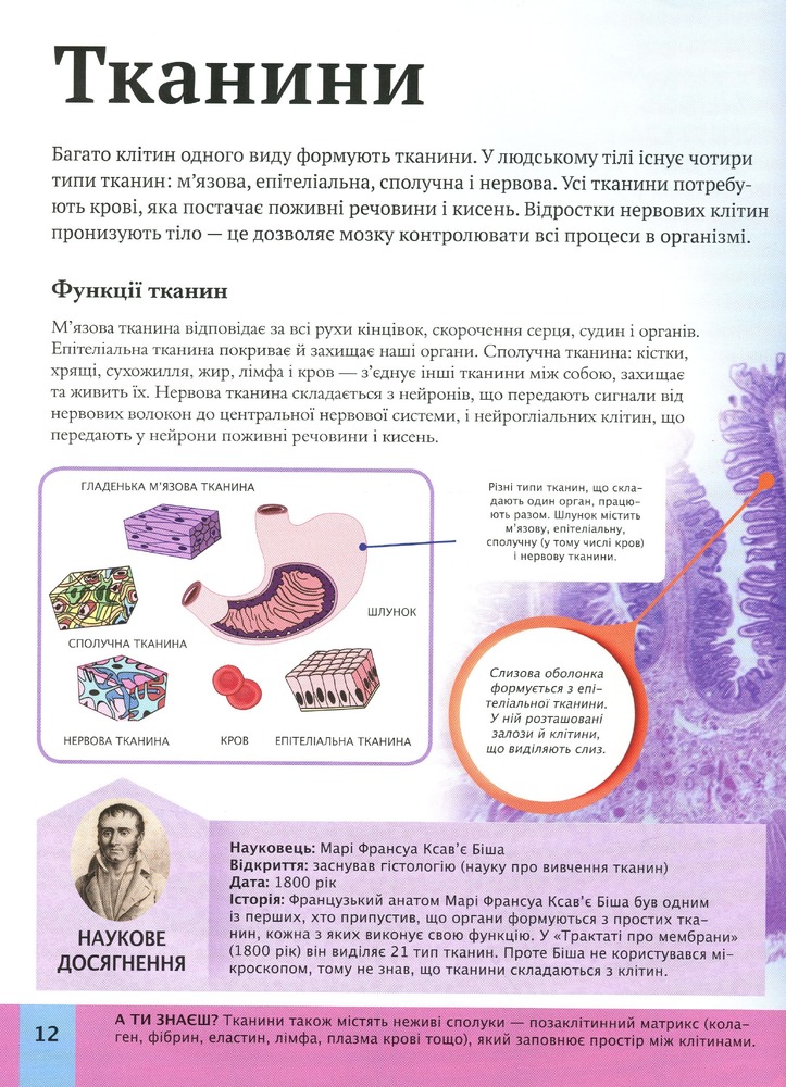 Книга Дитяча енциклопедія тіла людини. Фото 11