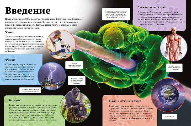 Книга Дитяча енциклопедія науки. Фото 6