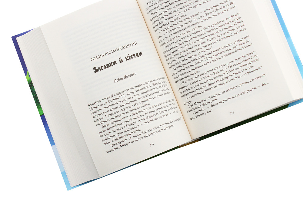 Книга Дивосміт. Покликання Морріґан Кроу - Джесіка Таунсенд. Фото 5