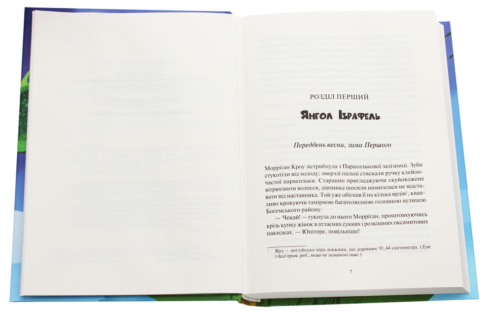 Книга Дивосміт. Покликання Морріґан Кроу - Джесіка Таунсенд. Фото 4