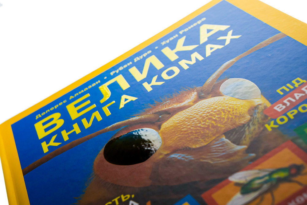 Книга Велика книга комах. Фото 4