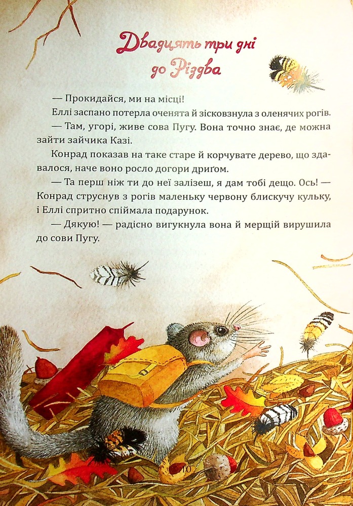 Книга Таємниця різдвяного подарунка - Анна Лотт. Фото 3