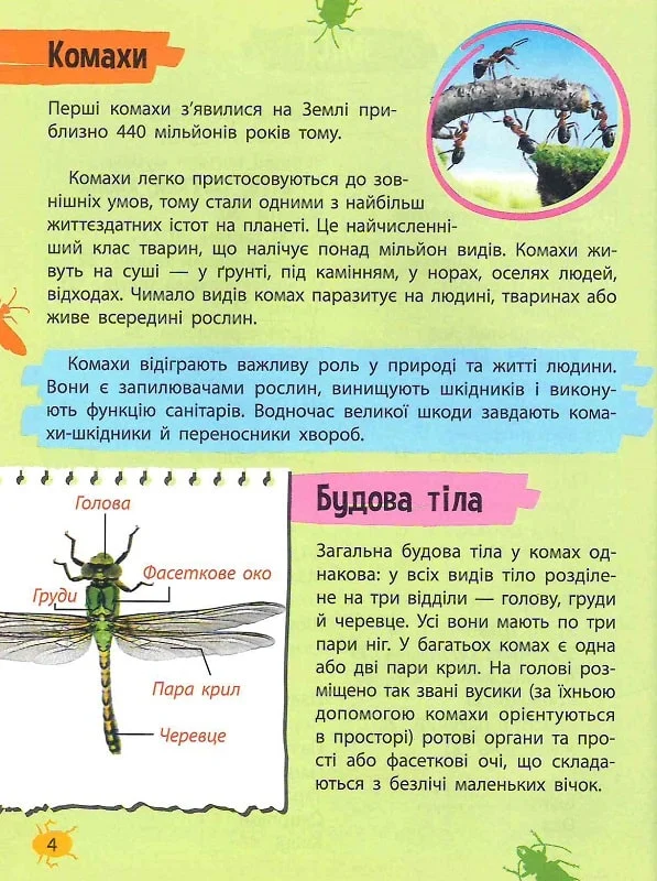 Мініенциклопедія. Комахи та павуки. Фото 10
