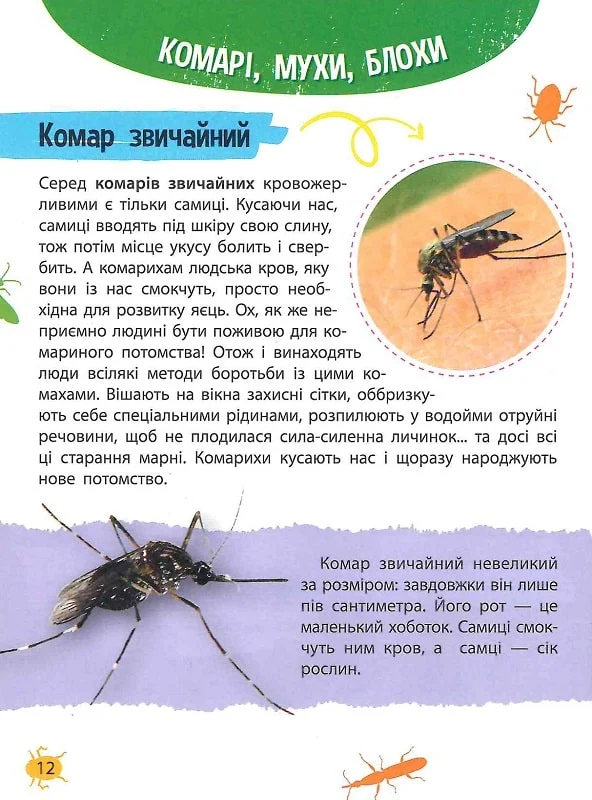 Мініенциклопедія. Комахи та павуки. Фото 3