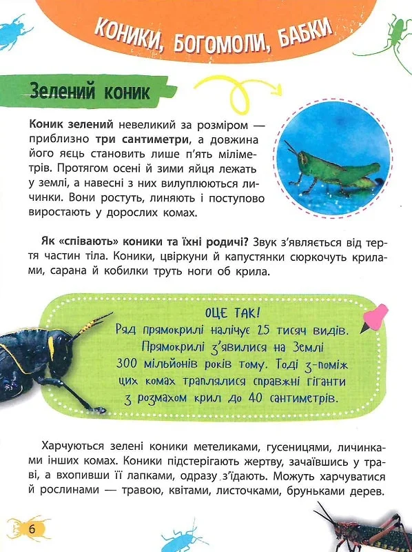 Мініенциклопедія. Комахи та павуки. Фото 8