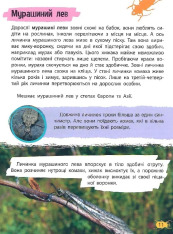 Мініенциклопедія. Комахи та павуки. Фото 4
