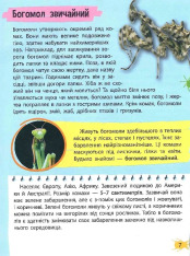 Мініенциклопедія. Комахи та павуки. Фото 7