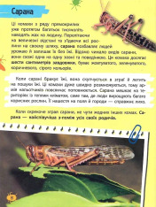 Мініенциклопедія. Комахи та павуки. Фото 6