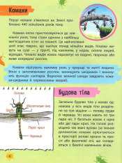 Мініенциклопедія. Комахи та павуки. Фото 10