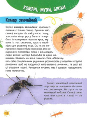 Мініенциклопедія. Комахи та павуки. Фото 3