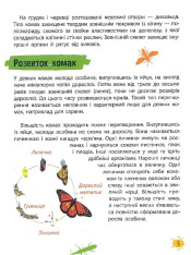 Мініенциклопедія. Комахи та павуки. Фото 9