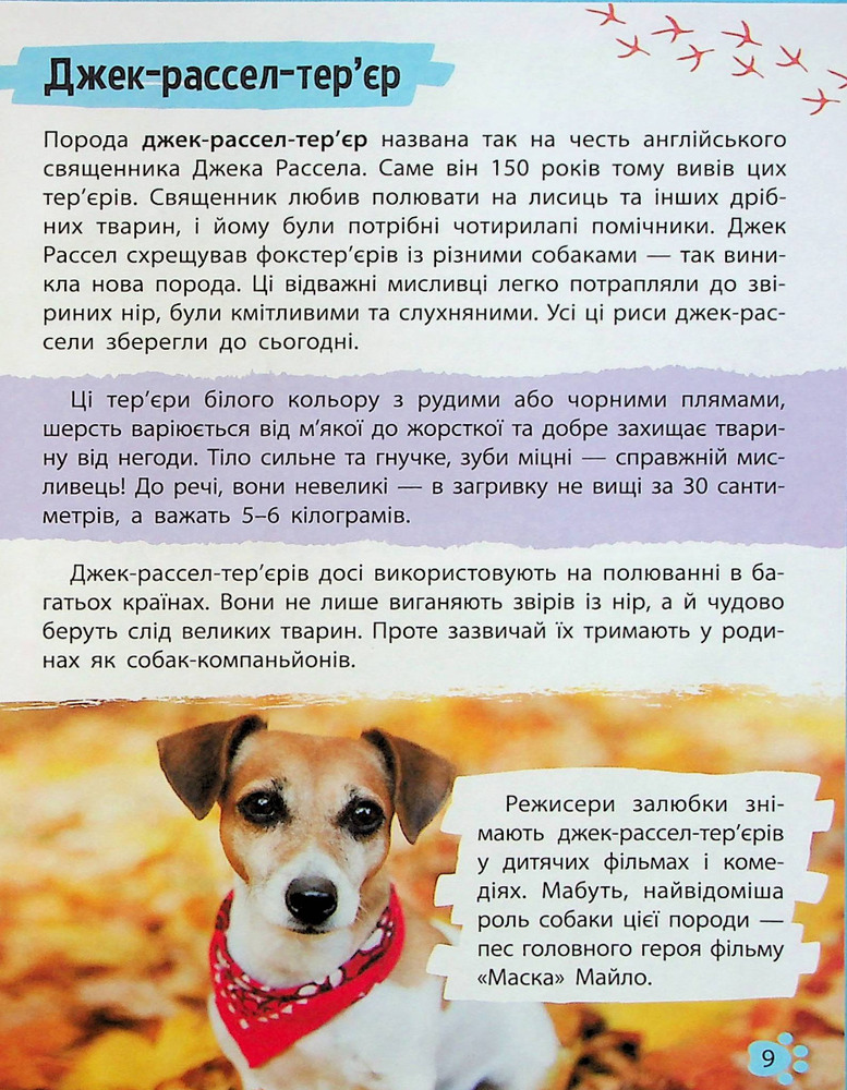 Мініенциклопедія. Хатні улюбленці. Фото 9