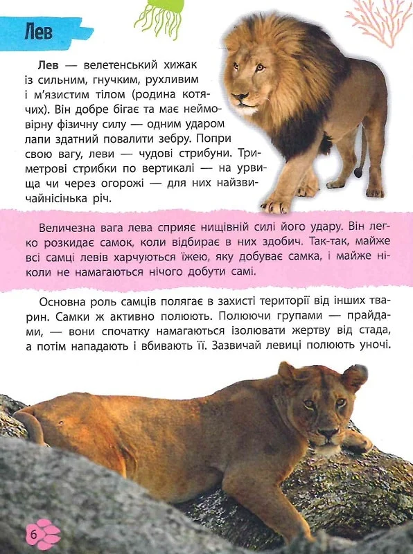 Мініенциклопедія. Тваринний світ. Фото 10