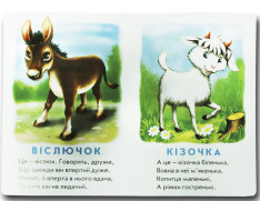 Книга  Хто це? Каченя. Фото 2