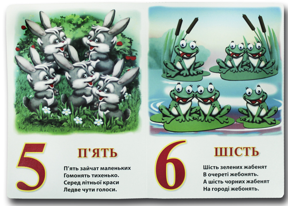 Книга  Рахівничка. Фото 2