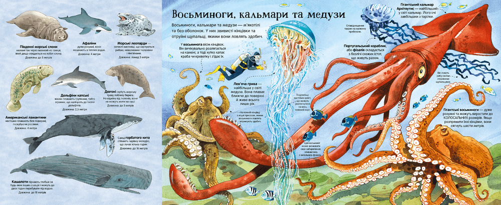 Книга Велика книга морських мешканців. Фото 4