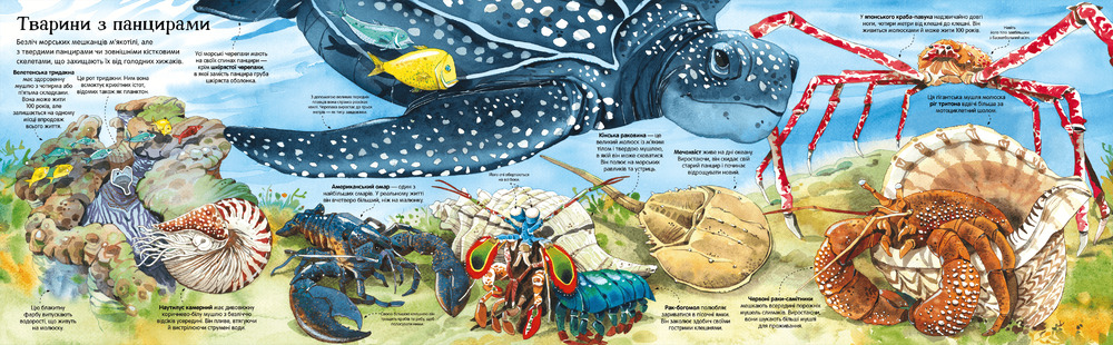 Книга Велика книга морських мешканців. Фото 3