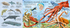 Книга Велика книга морських мешканців. Фото 4