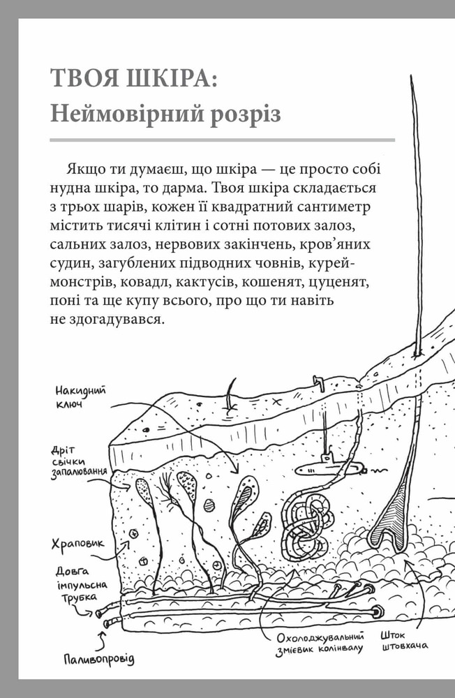 Книга Що це за орган? Дурнуватий довідник з анатомії твого тіла. Фото 6