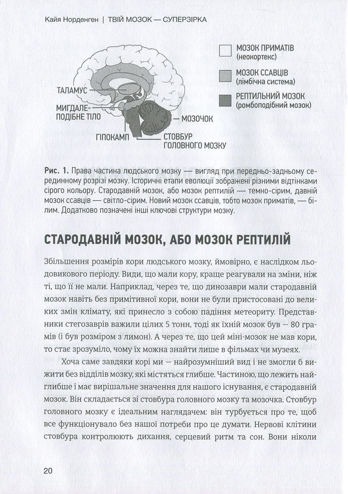 Книга Твій мозок - суперзірка. Використовуй на повну! - Кайя Норденген. Фото 12