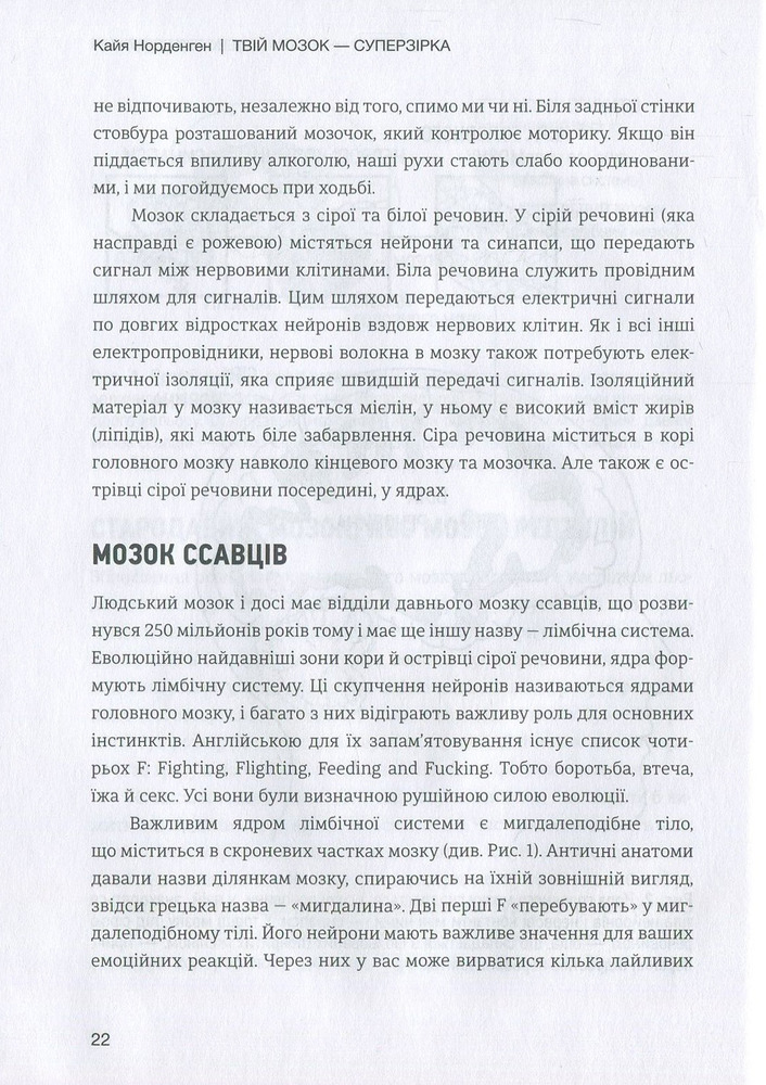 Книга Твій мозок - суперзірка. Використовуй на повну! - Кайя Норденген. Фото 14