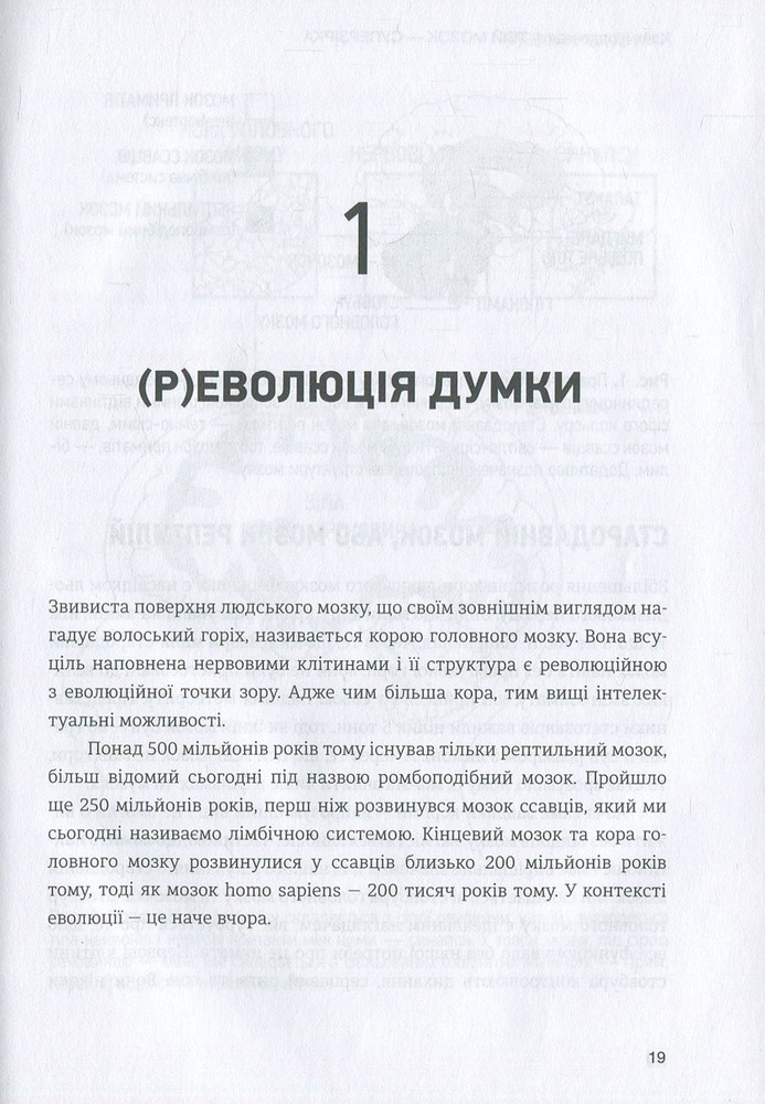 Книга Твій мозок - суперзірка. Використовуй на повну! - Кайя Норденген. Фото 11