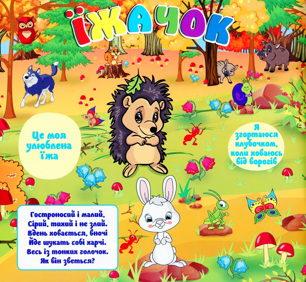 Книга Маленькі тварини та їх родини. Їжачок. Фото 10