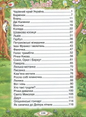 Книга Барвінковий віночок. Оповідання для дітей про Україну. Фото 8