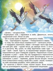 Книга Барвінковий віночок. Оповідання для дітей про Україну. Фото 12