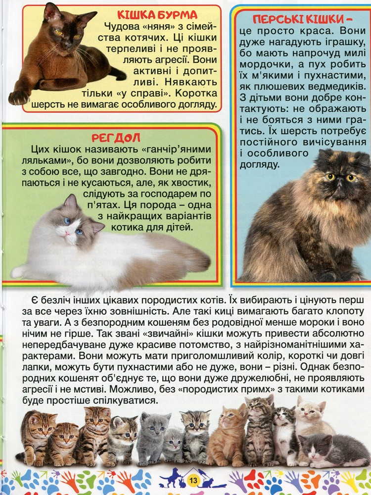 Книга Домашні улюбленці. Енциклопедія для дітей. Фото 17