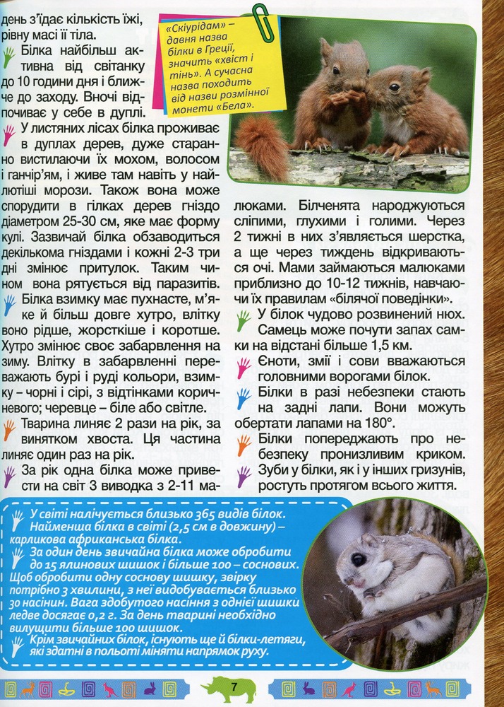 Книга Велика енциклопедія про тварин. Дивовижні факти. Фото 11