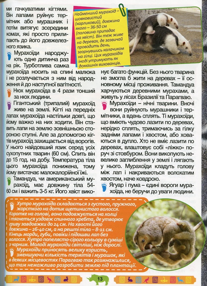 Книга Енциклопедія про тварин. Дивовижні факти. Зелена. Фото 14