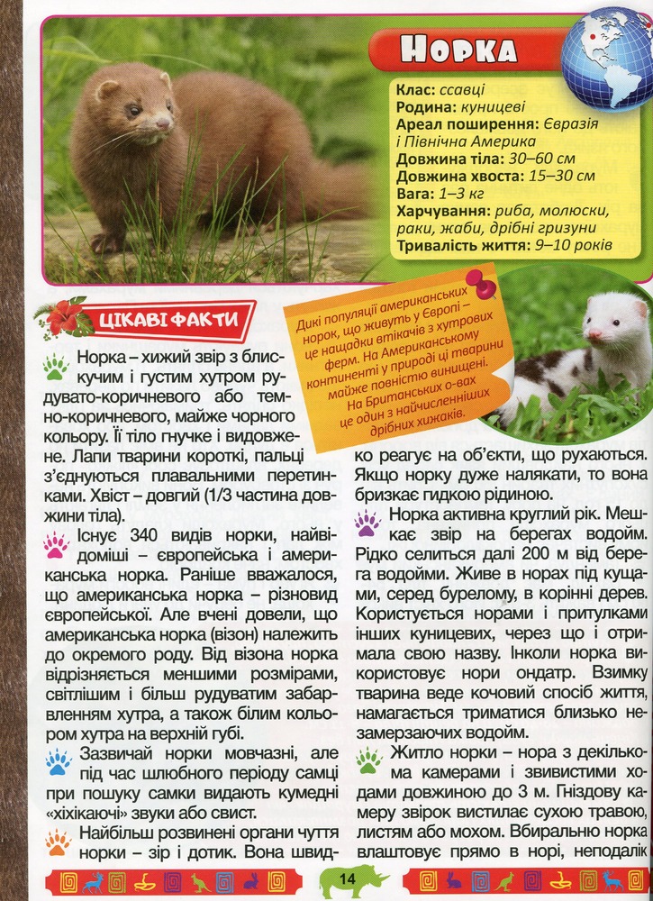 Книга Енциклопедія про тварин. Дивовижні факти. Зелена. Фото 15