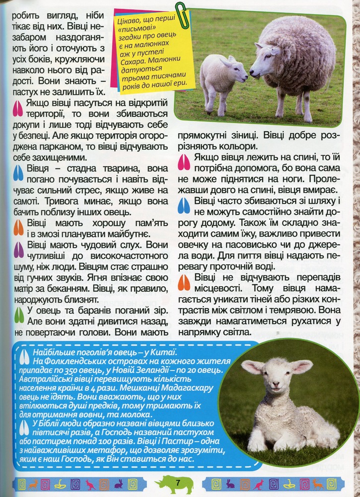 Книга Енциклопедія про тварин. Дивовижні факти. Зелена. Фото 8