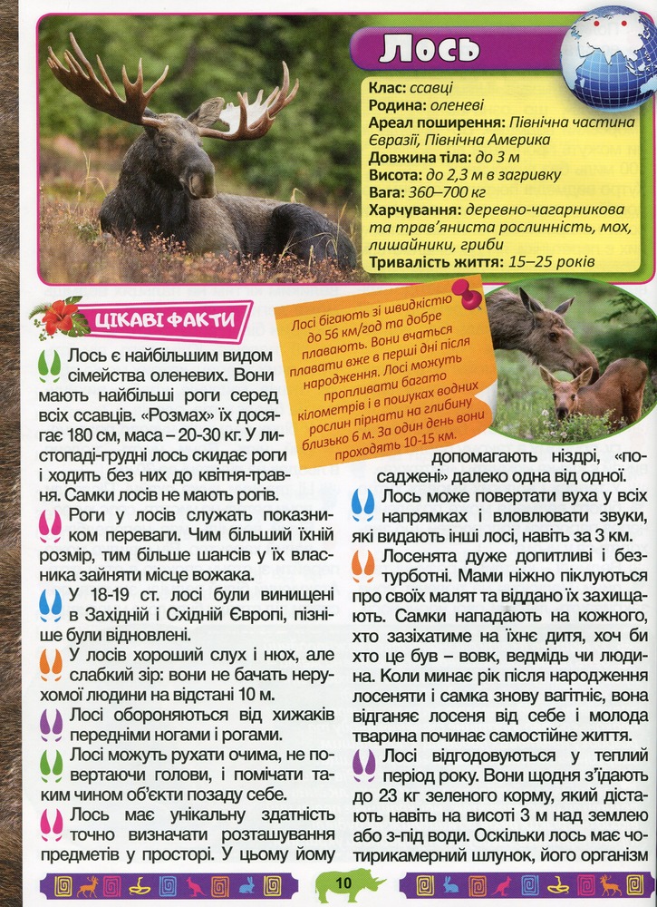Книга Енциклопедія про тварин. Дивовижні факти. Зелена. Фото 11