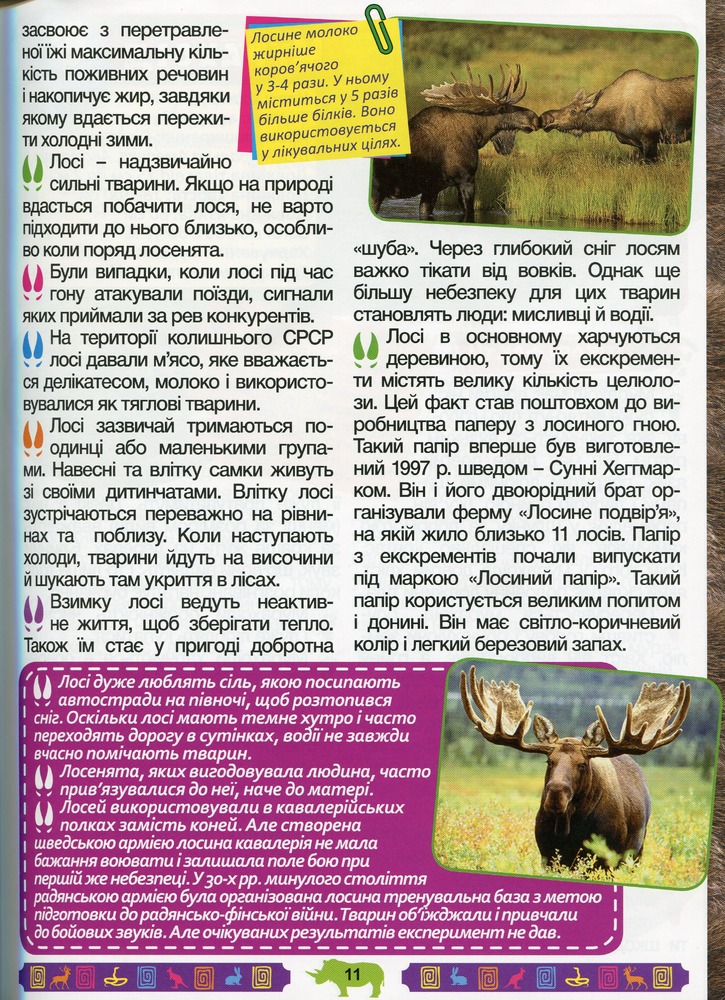 Книга Енциклопедія про тварин. Дивовижні факти. Зелена. Фото 12