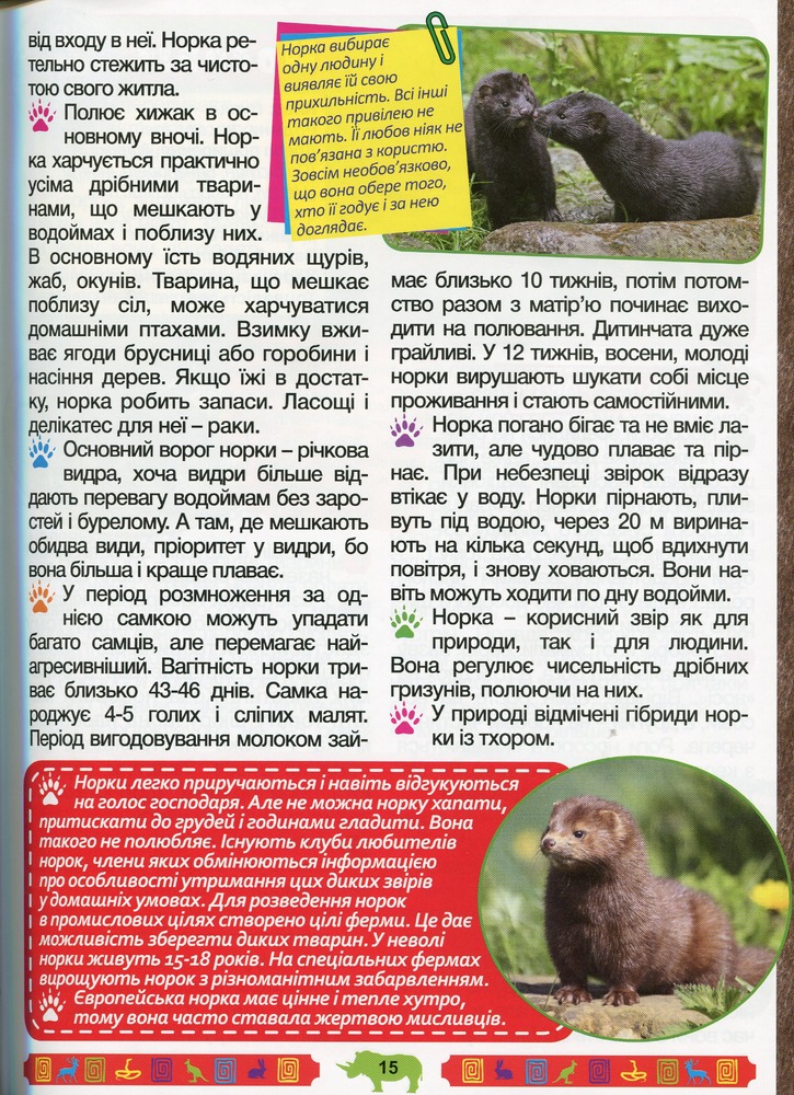Книга Енциклопедія про тварин. Дивовижні факти. Зелена. Фото 16