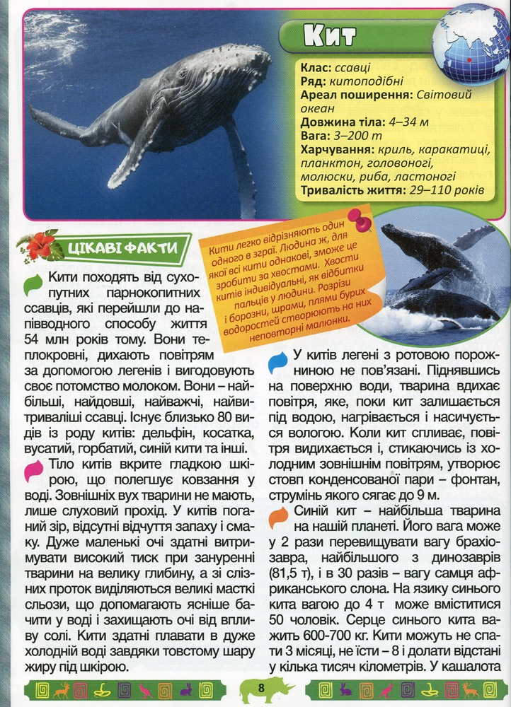 Книга Енциклопедія про тварин. Дивовижні факти. Блакитна. Фото 11