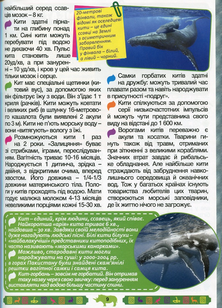 Книга Енциклопедія про тварин. Дивовижні факти. Блакитна. Фото 12